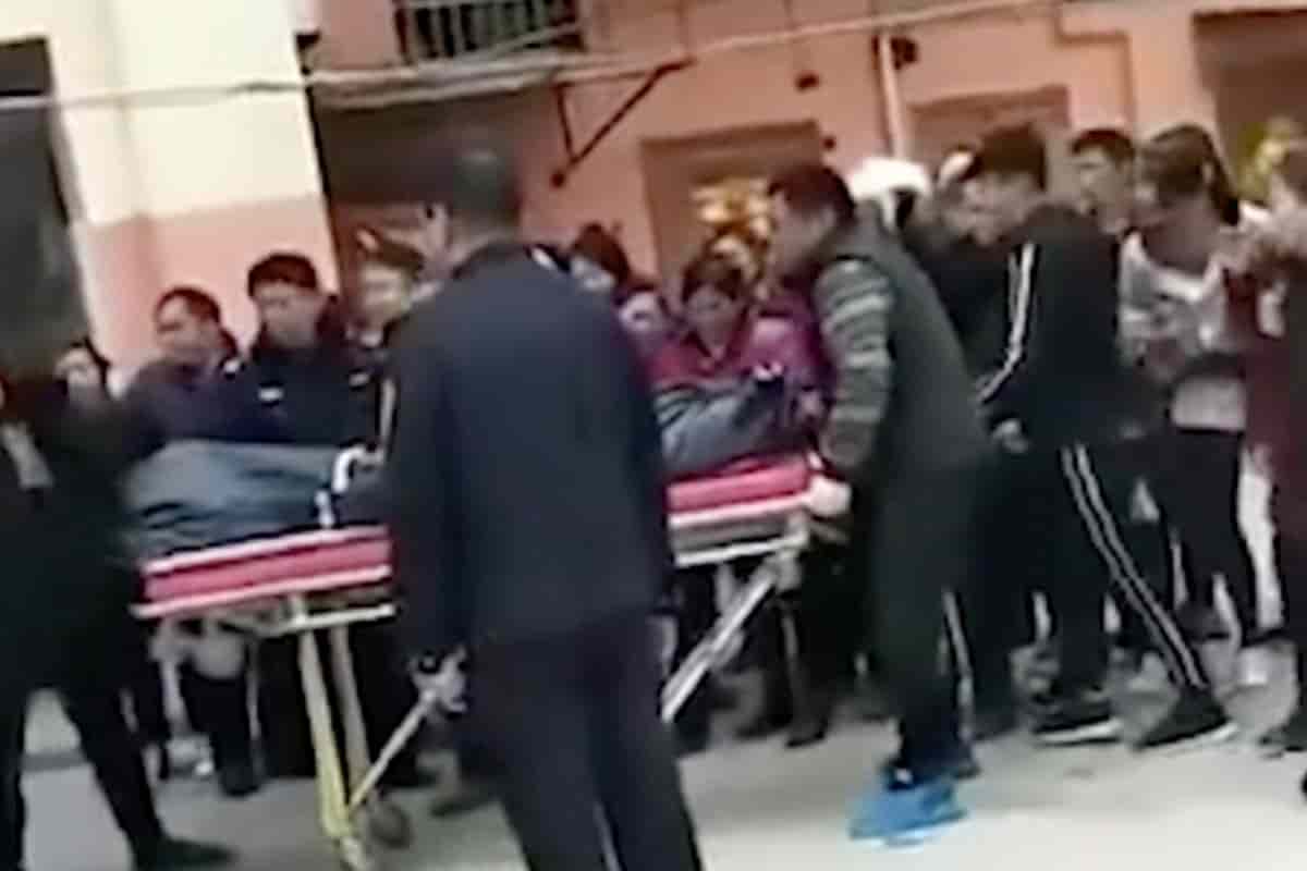 Mamma uccide cane figlio l'ammazza