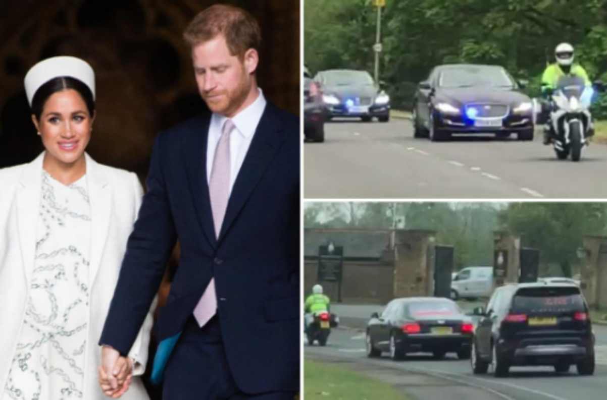 Meghan Markle in travaglio, Harry annulla la visita ufficiale: rivelato il sesso del royal baby