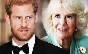 Principe Harry, la verità sul rapporto con Camilla Parker