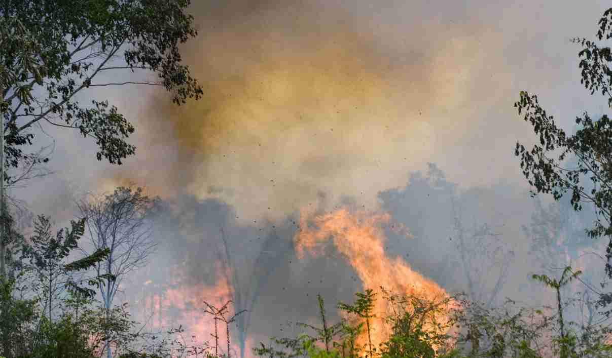 Incendi Amazzonia