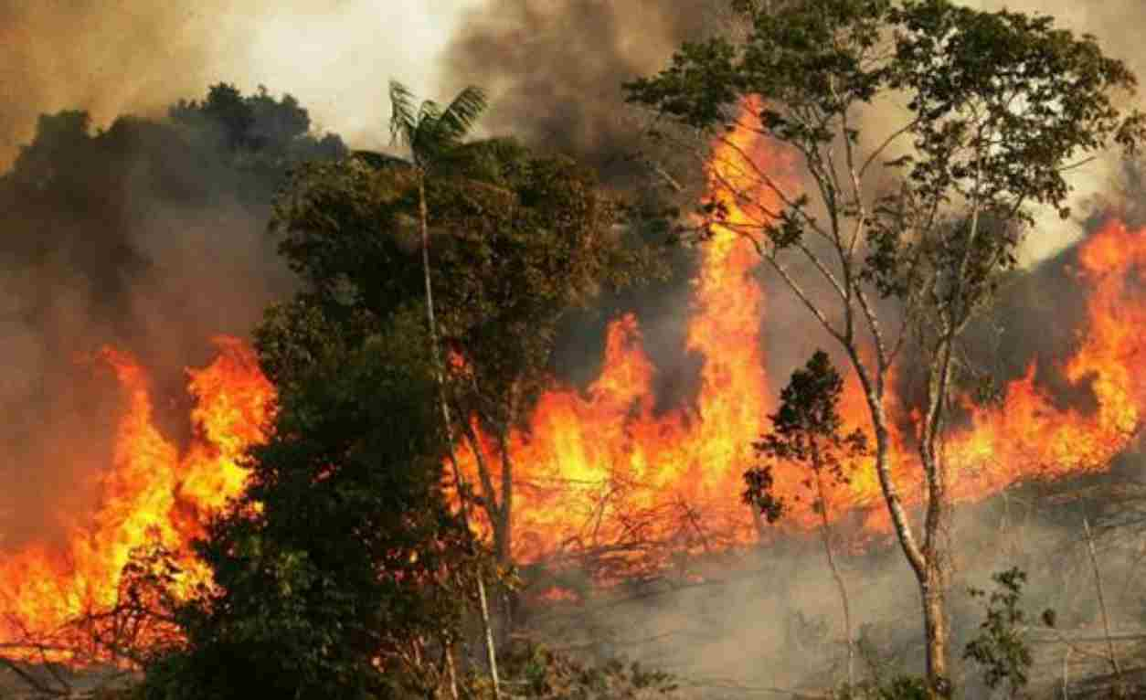 Incendio Amazzonia