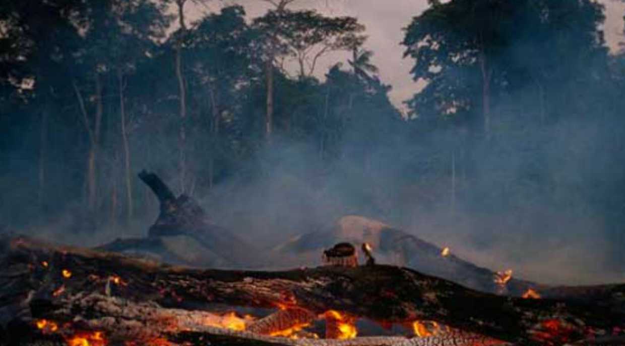 Incendi in Amazzonia