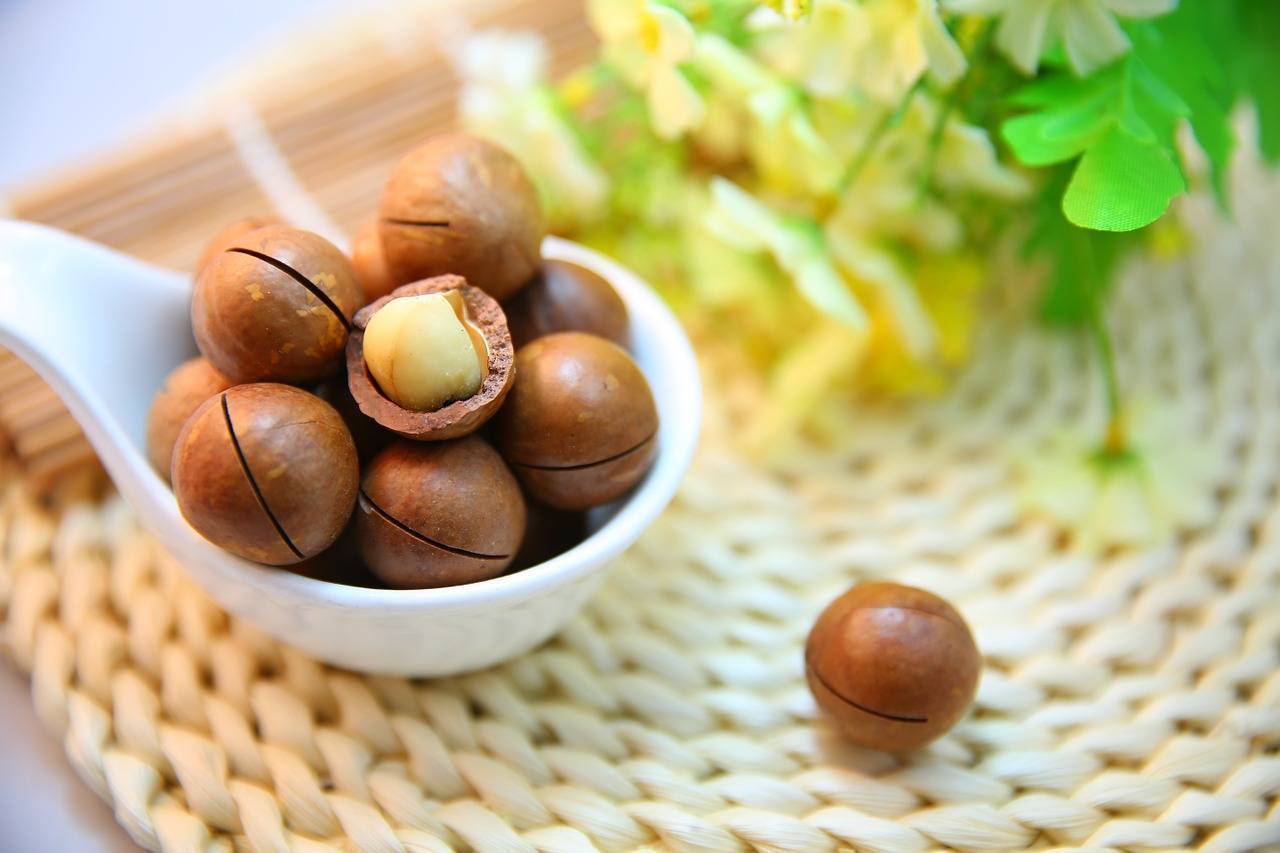 noci di macadamia