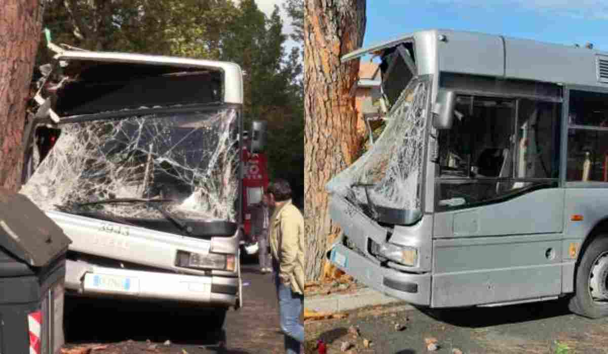 Bus contro albero