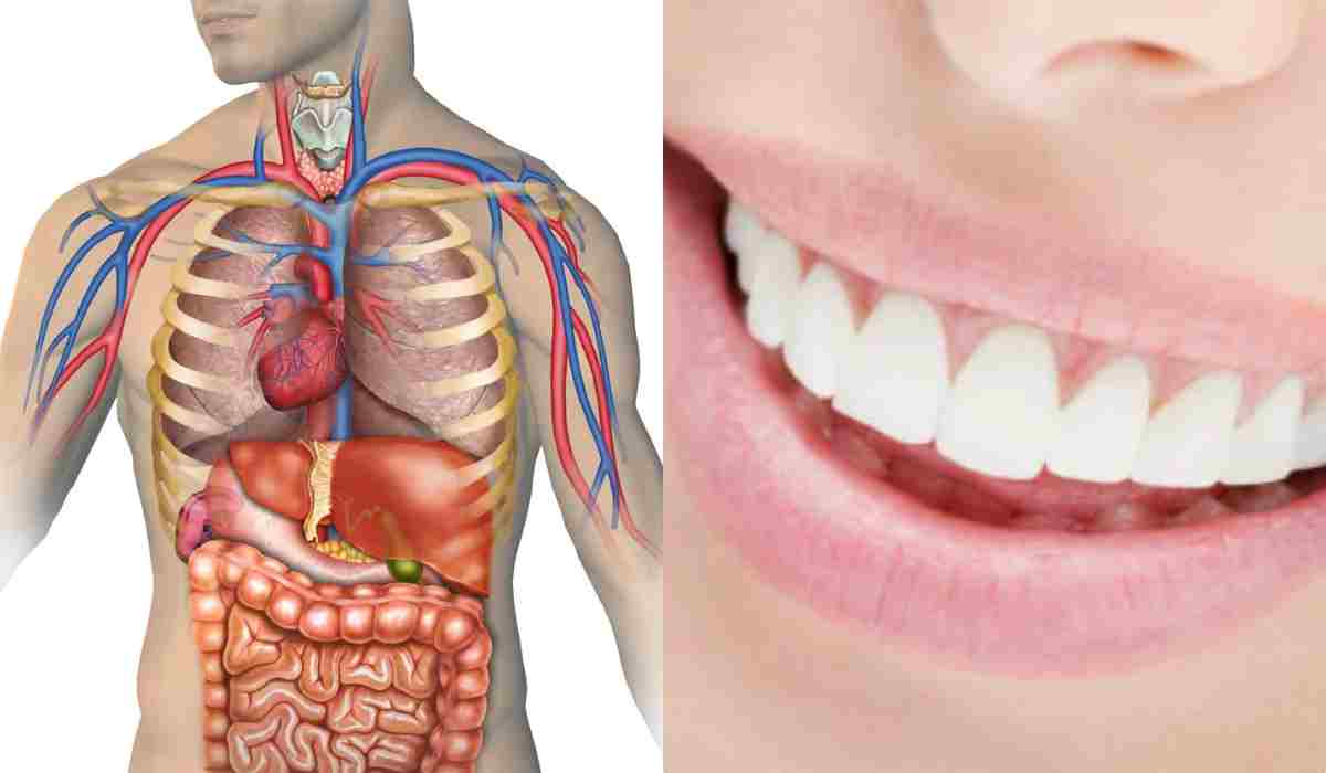 Perdi i denti? Ecco uno dei motivi che può nascondersi dietro