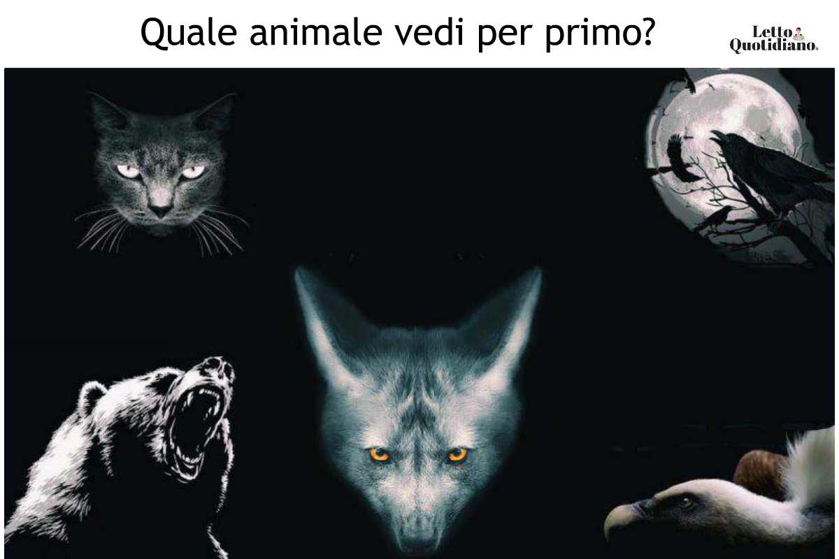 test immagine scopri il tuo lato oscuro