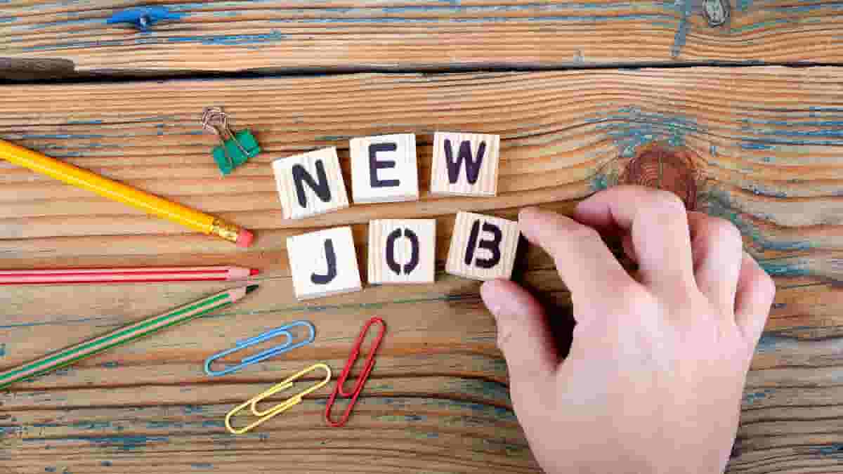 Offerte di lavoro, opportunità nel pubblico impiego: ecco come candidarsi