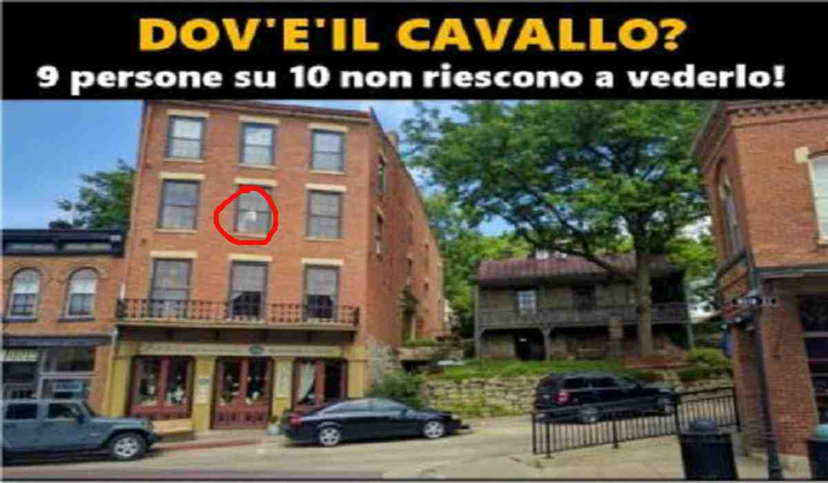 Rompicapo visivo cavallo