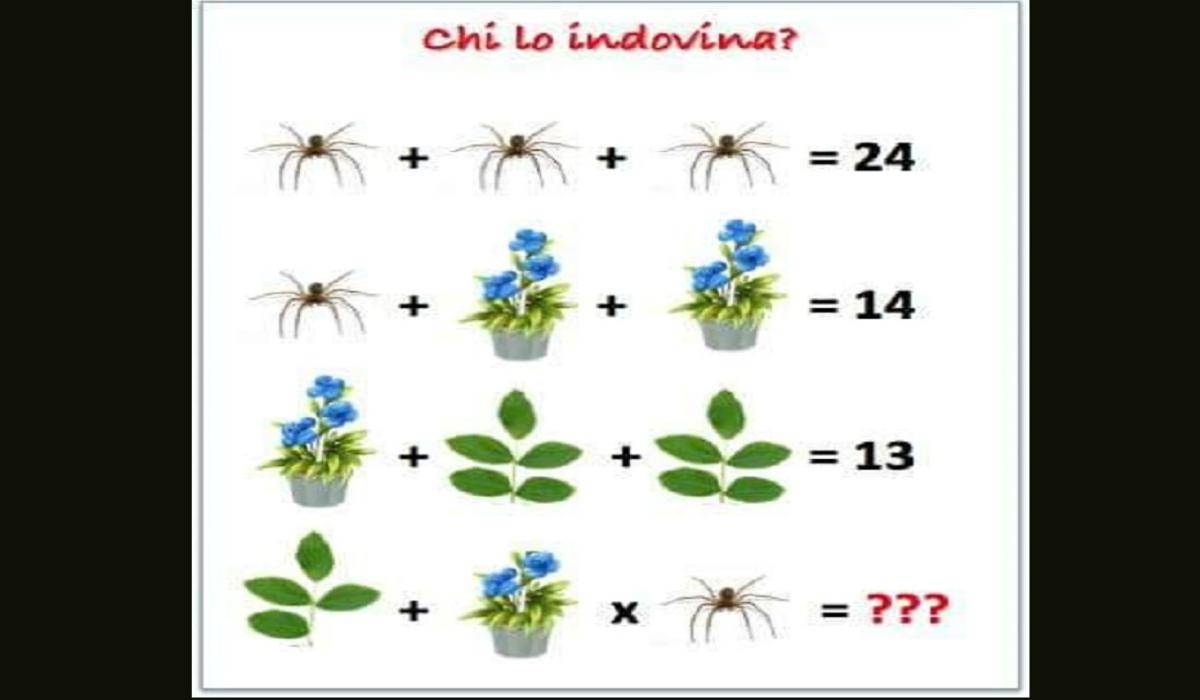 Rompicapo matematico dei ragnetti