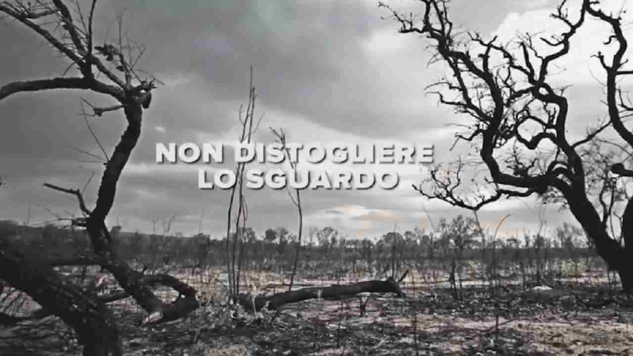 WWF, giornata del suolo: in fumo 12 milioni di ettari solo in Amazzonia