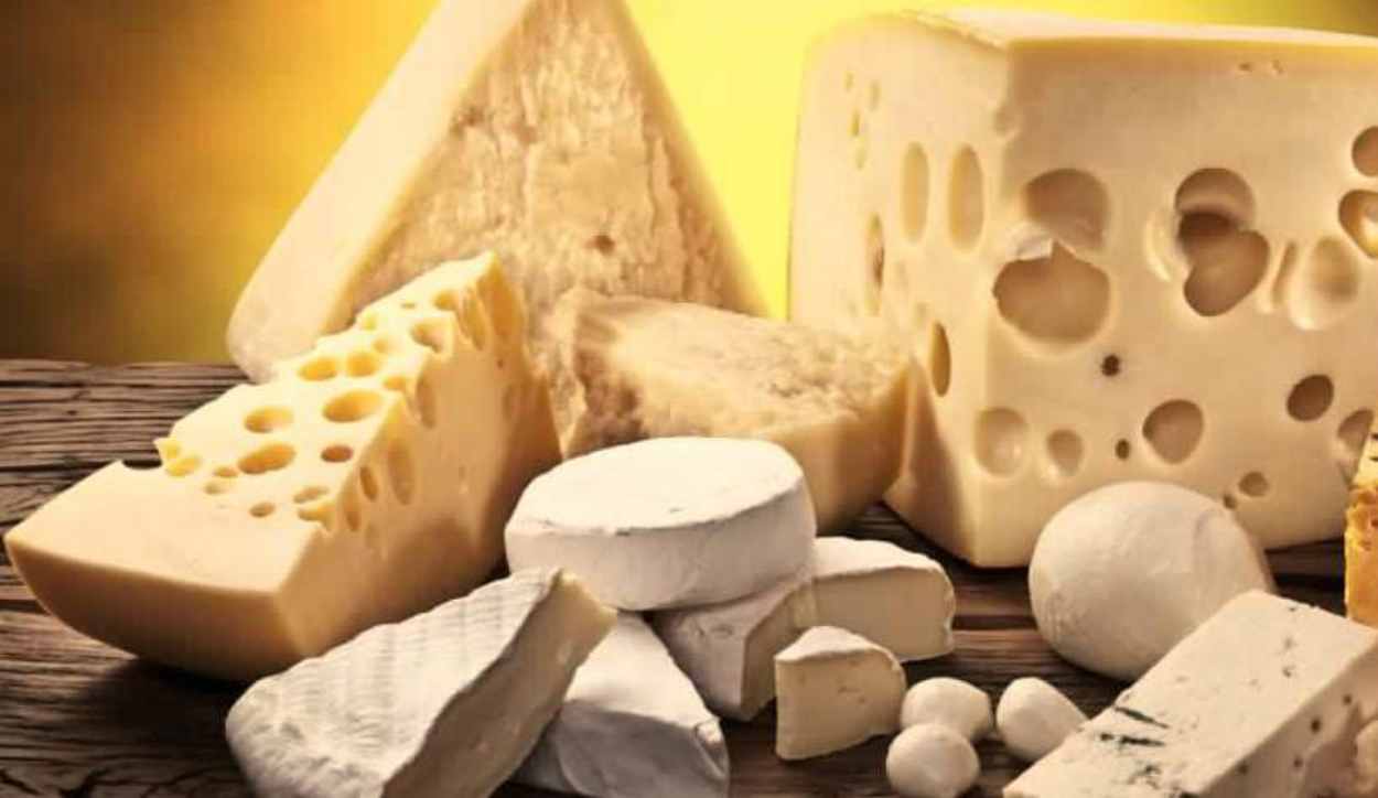 Come sono nati i formaggi? Gli studi portano ad una mosca preistorica