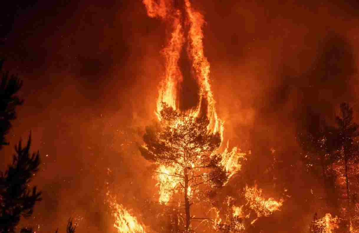 Incendi Australia