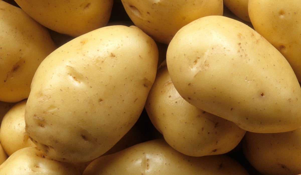 patate