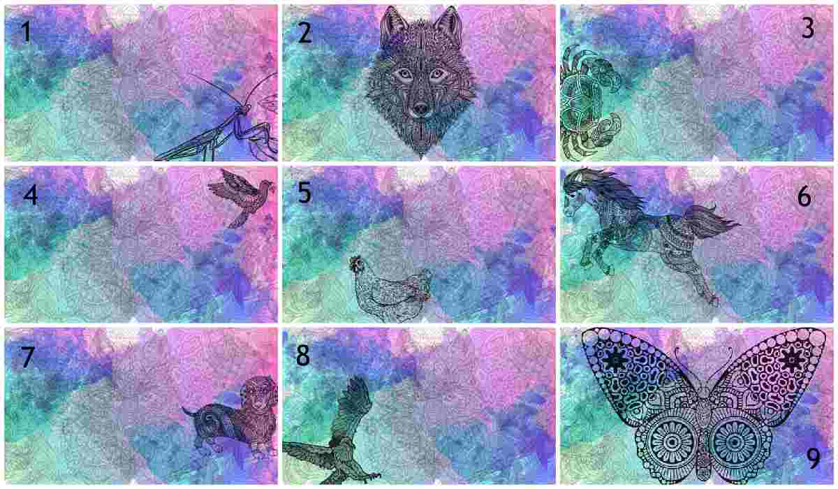 test animali collage