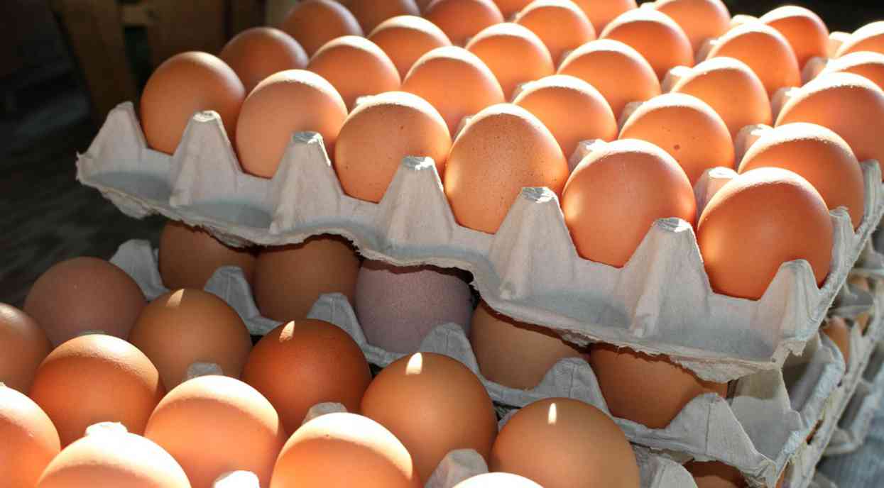 Ritiro uova, ennesimo allarme per due note marche: "Rischio microbiologico"