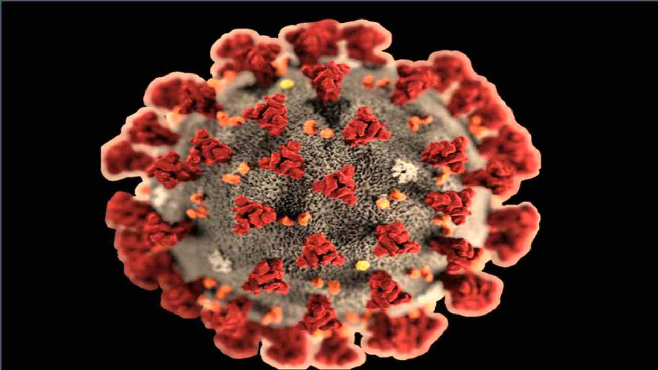 Coronavirus