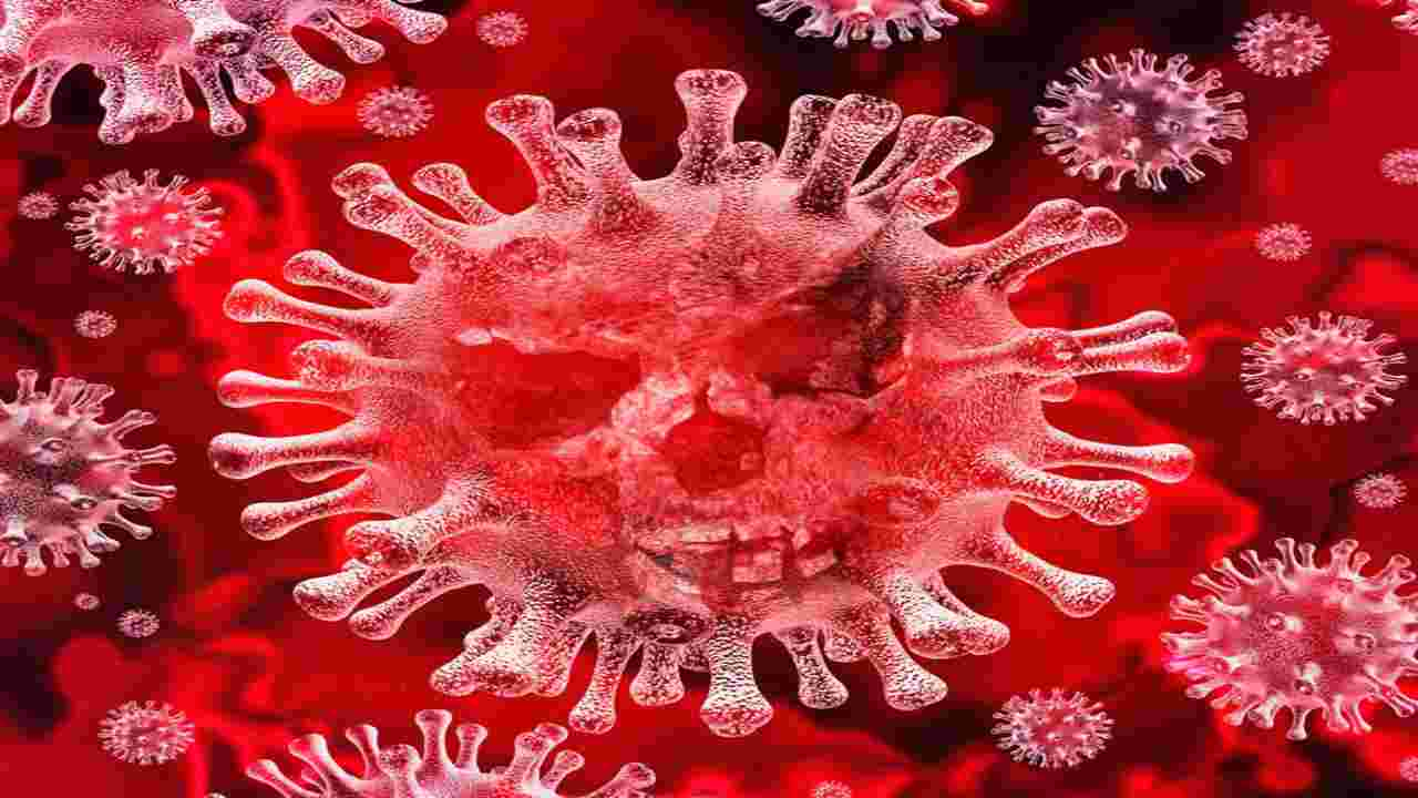 Coronavirus in Italia, 9 regioni colpite: virus in circolo a Lodi da due settimane?