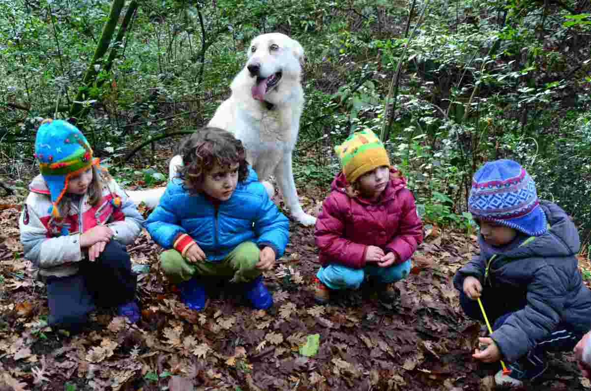 rispetto dell'ambiente