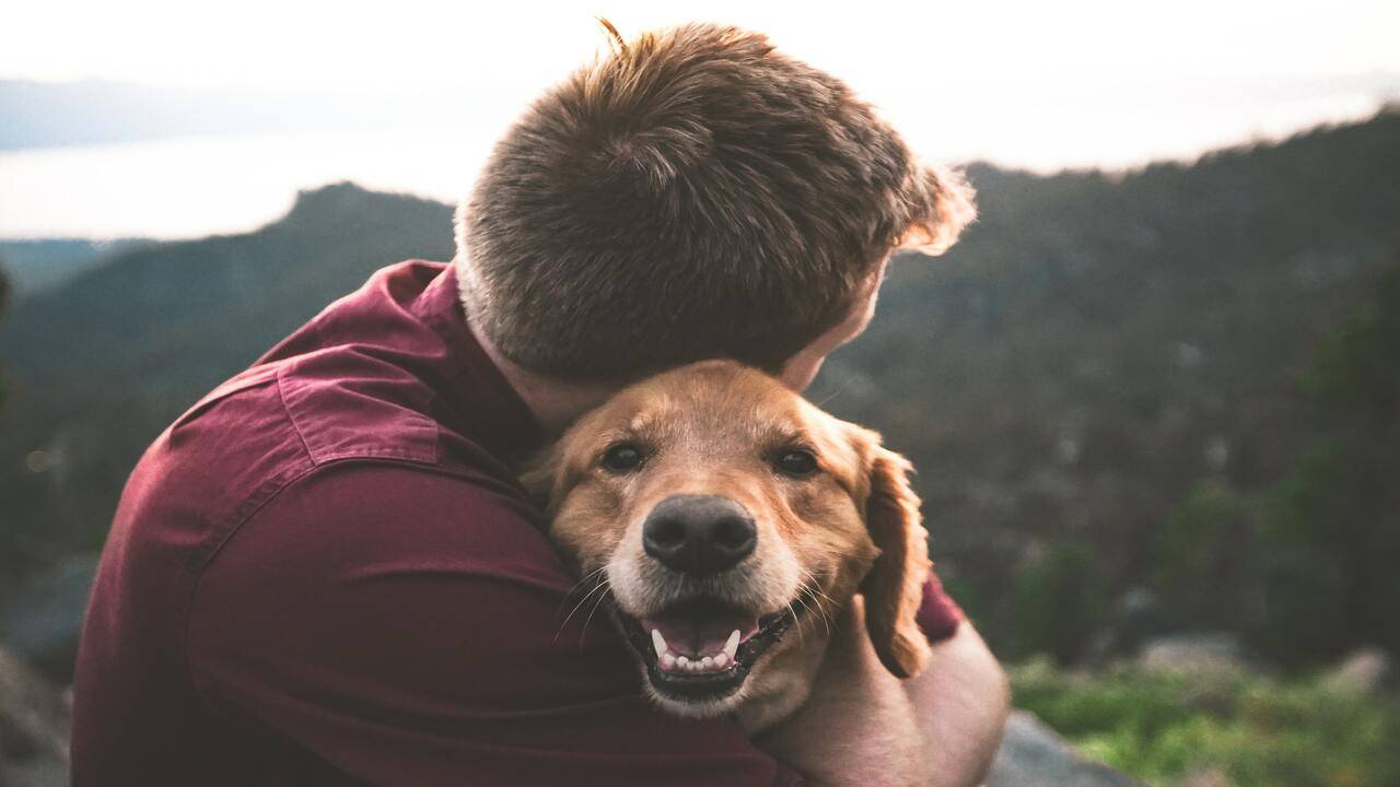 Cane abbracciato dal padrone