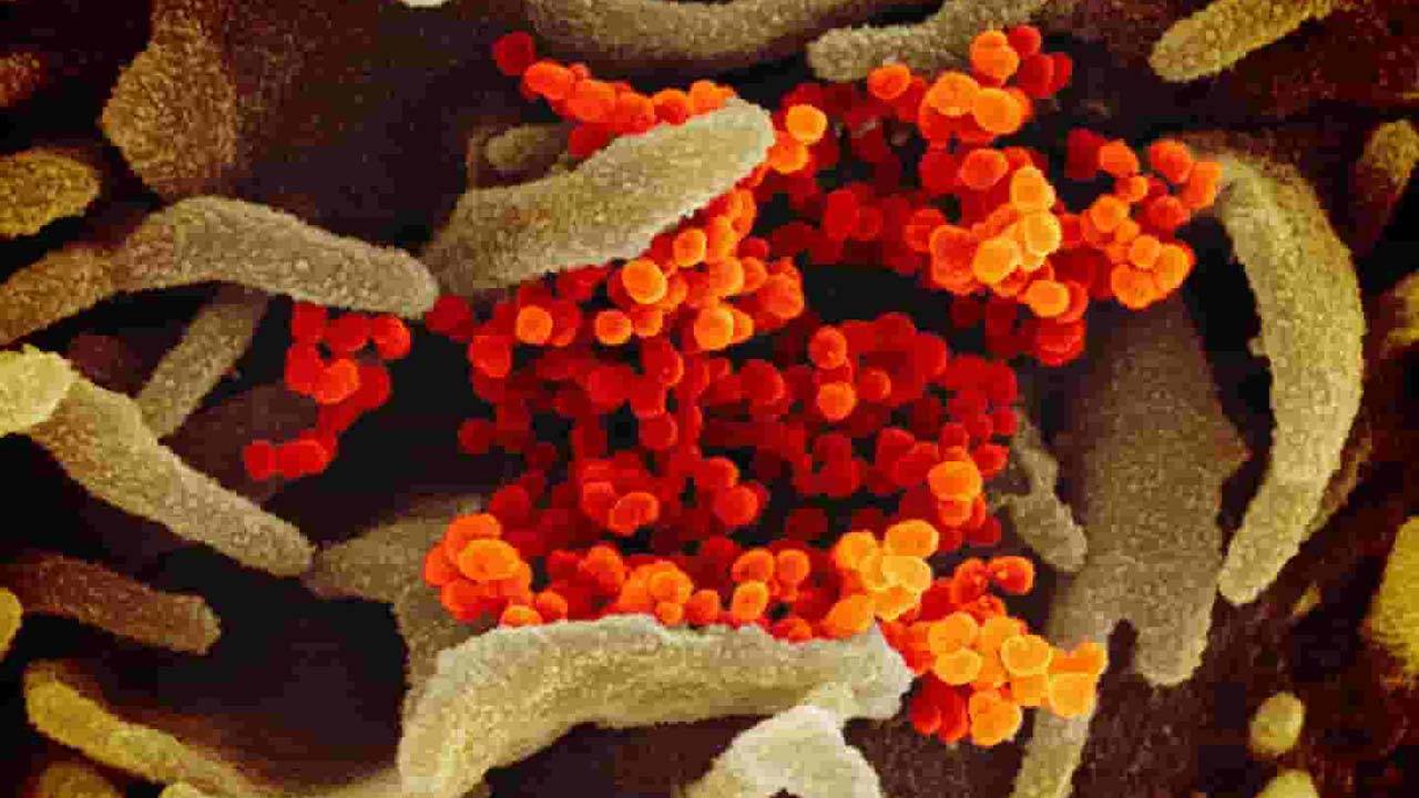 primi sintomi del virus coronavirus