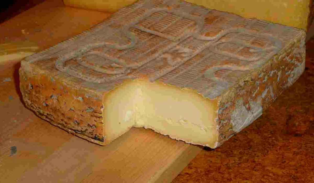 Taleggio