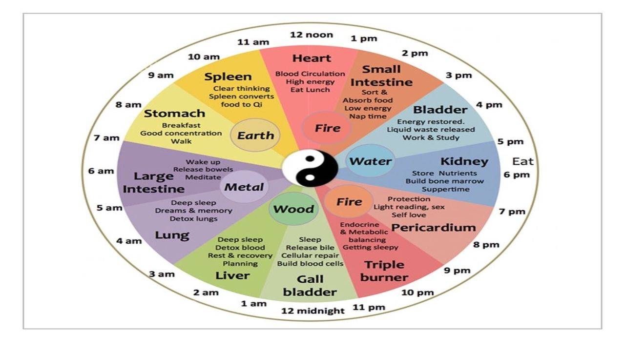 Ritmo circadiano cortisol