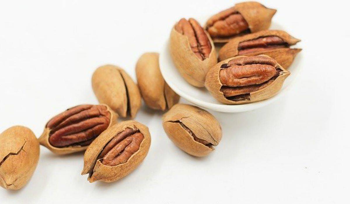 noci pecan