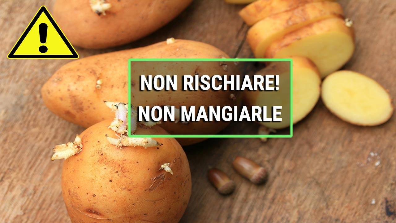 patate germogliate sono tossiche?