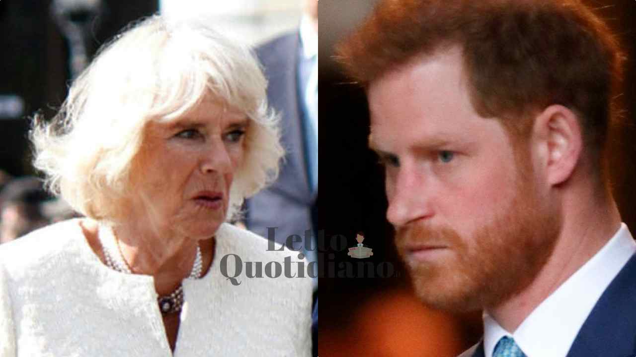 Camilla Parker, la verità del Principe Harry sul loro rapporto: "La penso così"