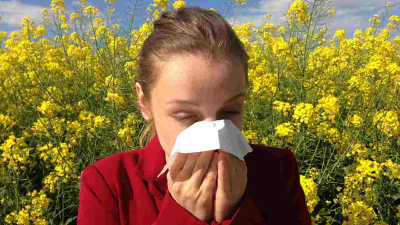 Allergie polline