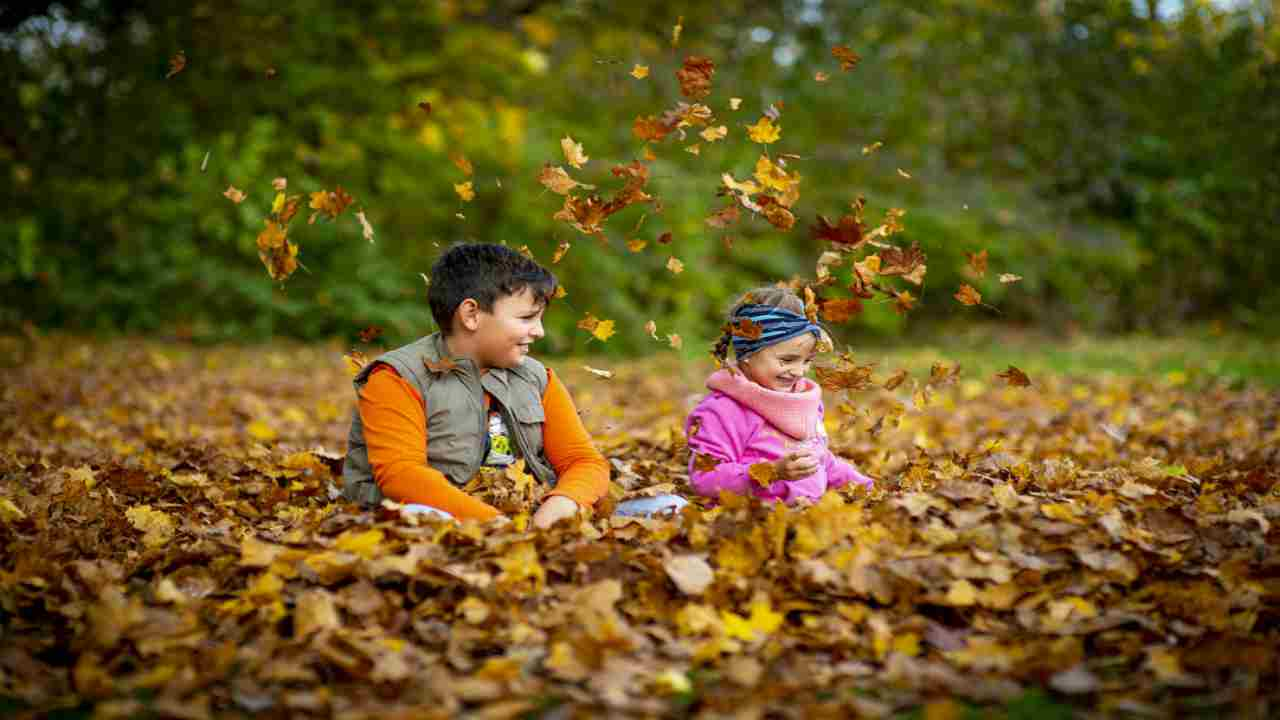 Biccari scuola bosco