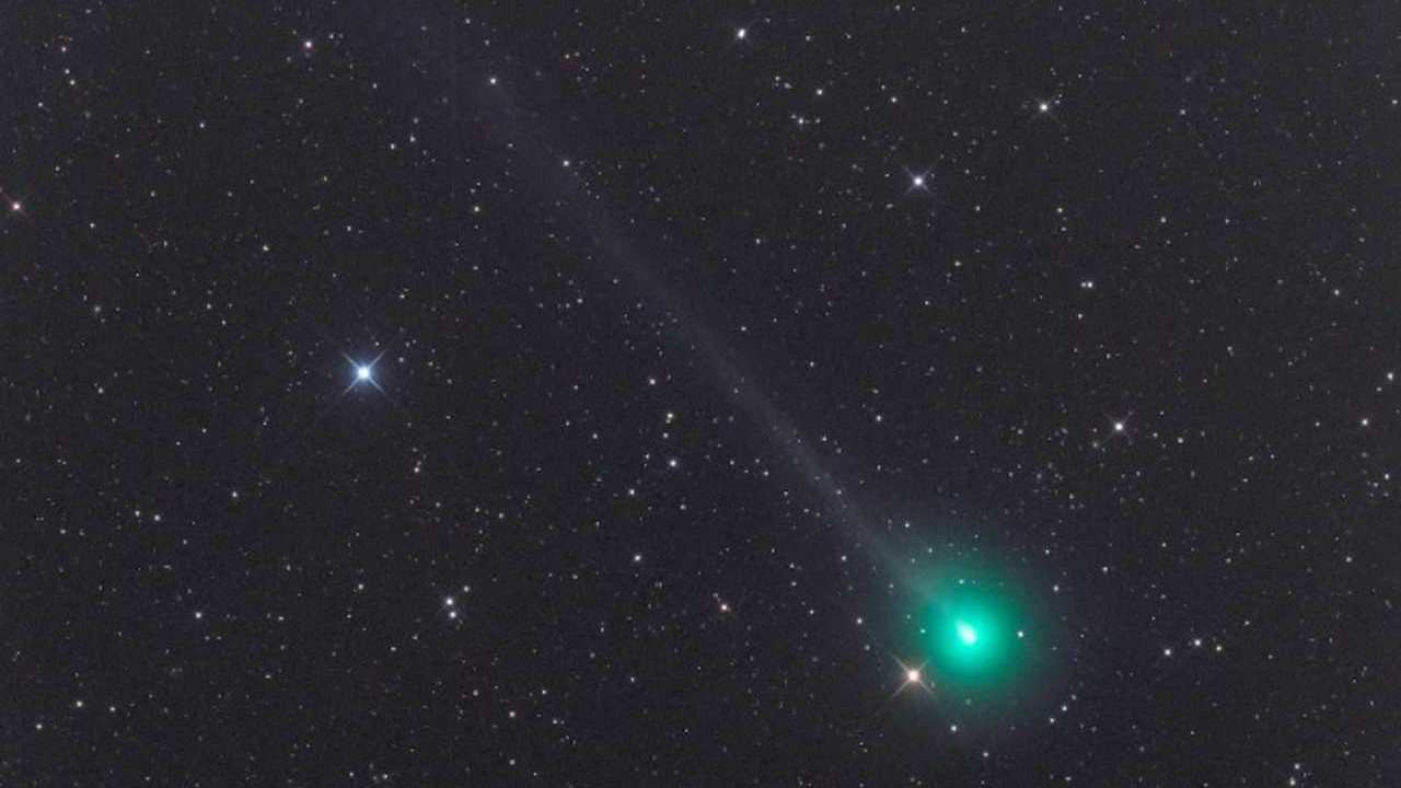 cometa swan