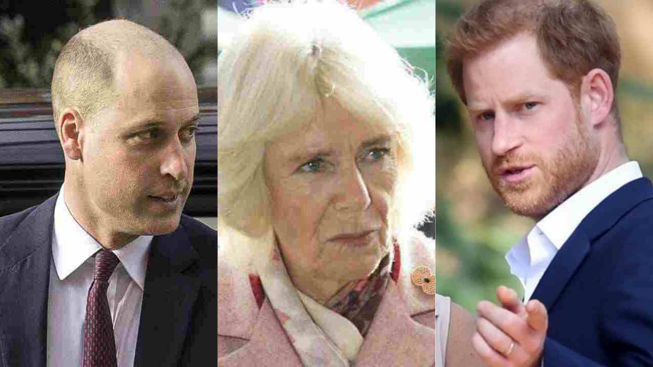 Camilla Parker, "Era malata": l'indiscrezione che fa infuriare Harry e William