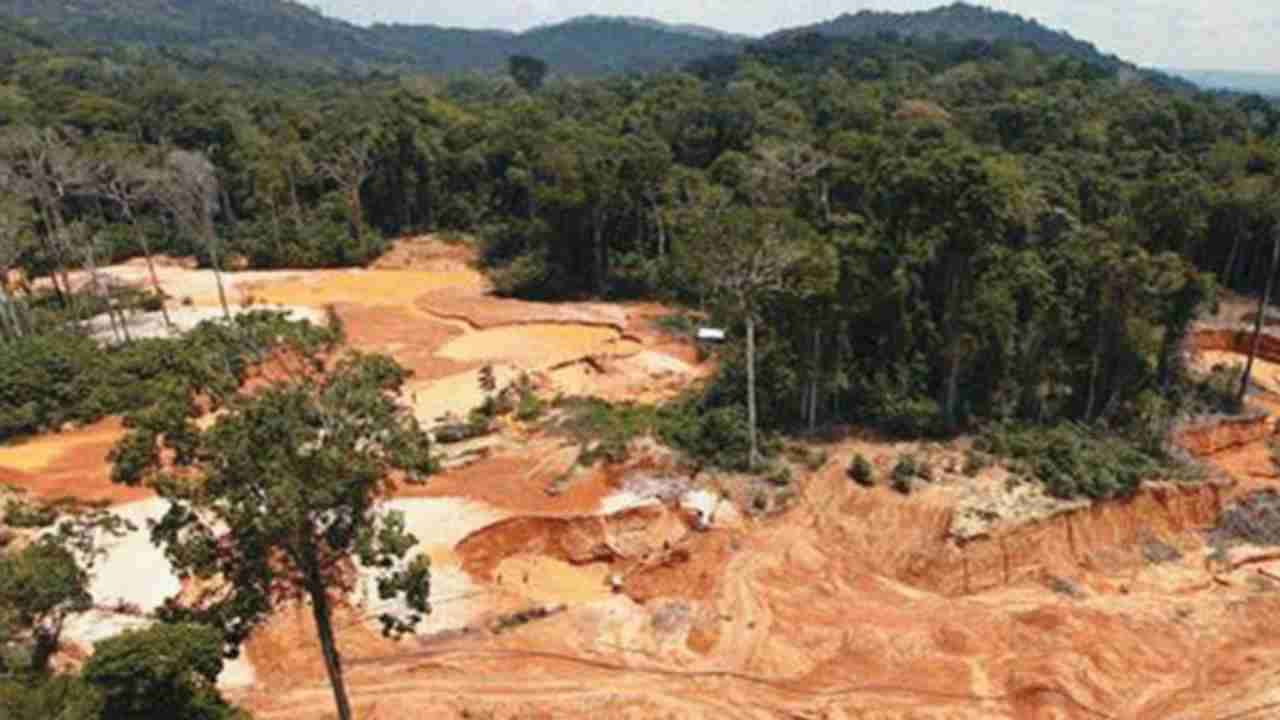 deforestazione amazzonia colombiana