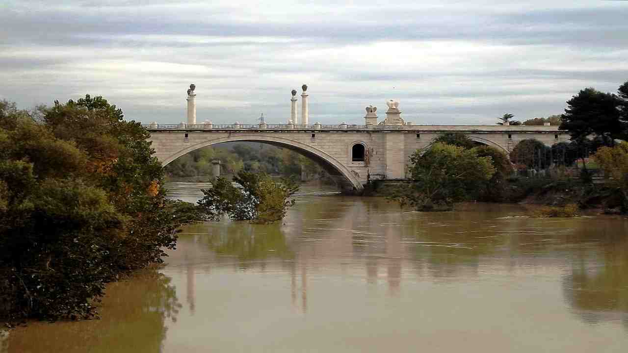 Delitto sul Tevere, il dettaglio della scarpa dai risultati dell'autopsia