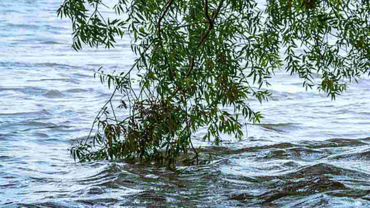 Si tuffa nel lago e sparisce: Davide trovato morto dopo ore di ricerche