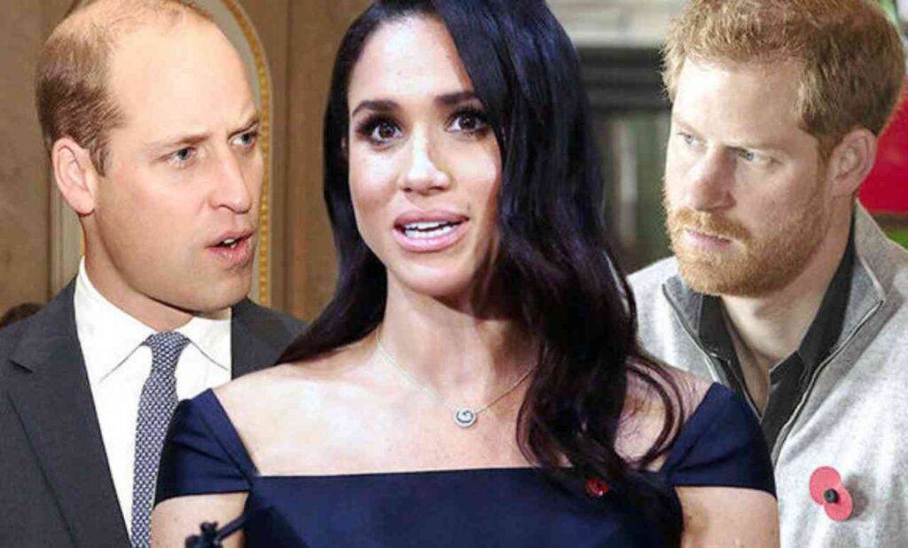 William il pensiero su Meghan