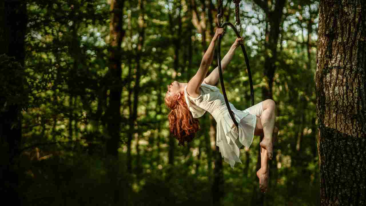 This Is My Forest: la danza nella foresta umbra high tech