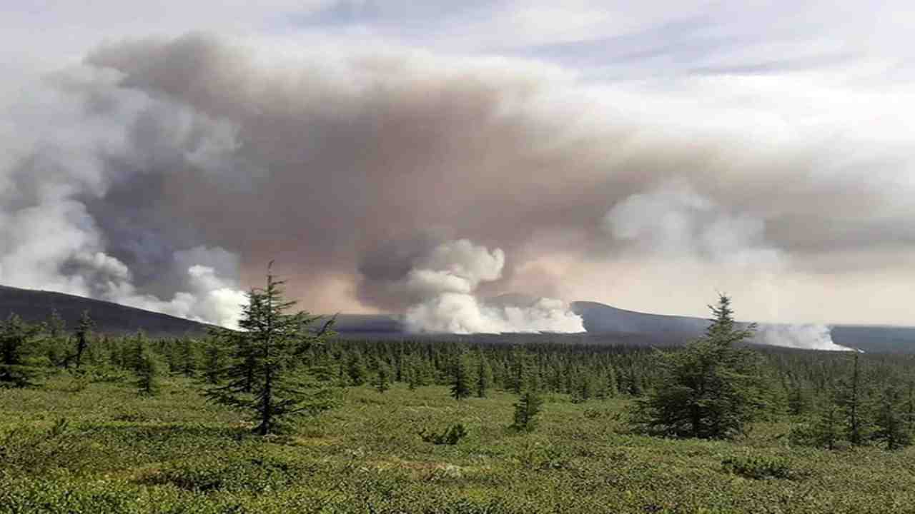 incendi siberia quadruplicano