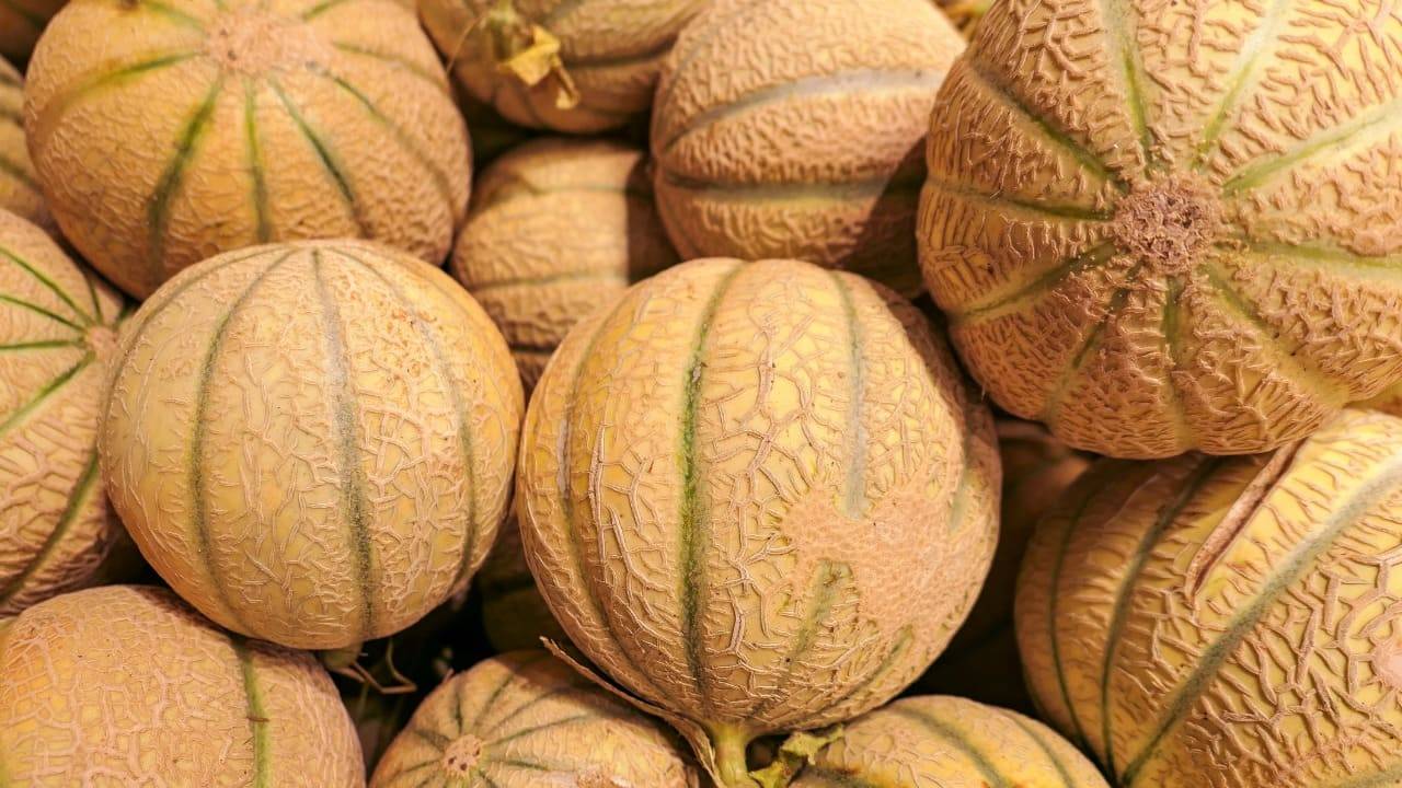 Dieta Del Melone Perdi Facilmente 8 Kg Il Menu Settimanale