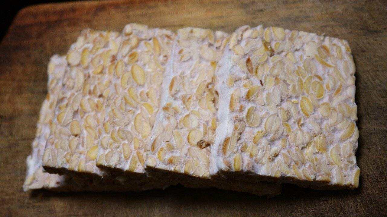 tempeh 