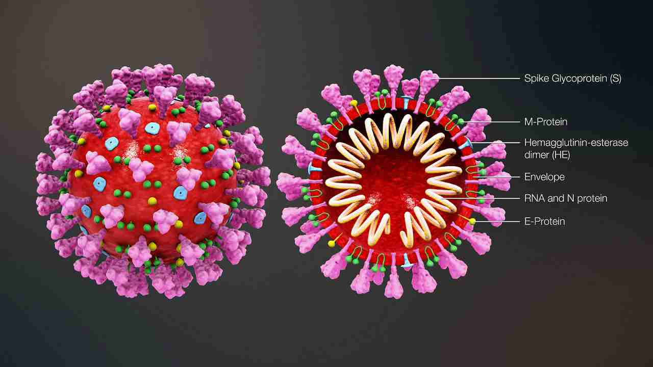 Coronavirus