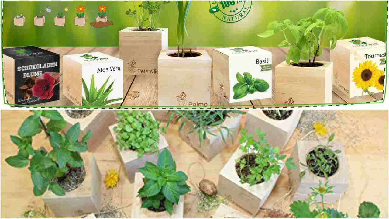 EcoCube giardino ufficio