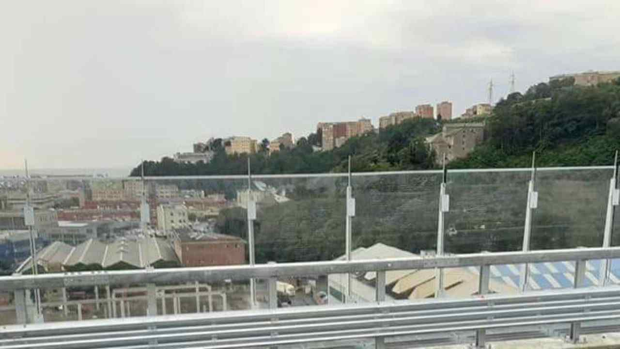 Il ponte San Giorgio di Genova è bird friendly secondo la LIPU