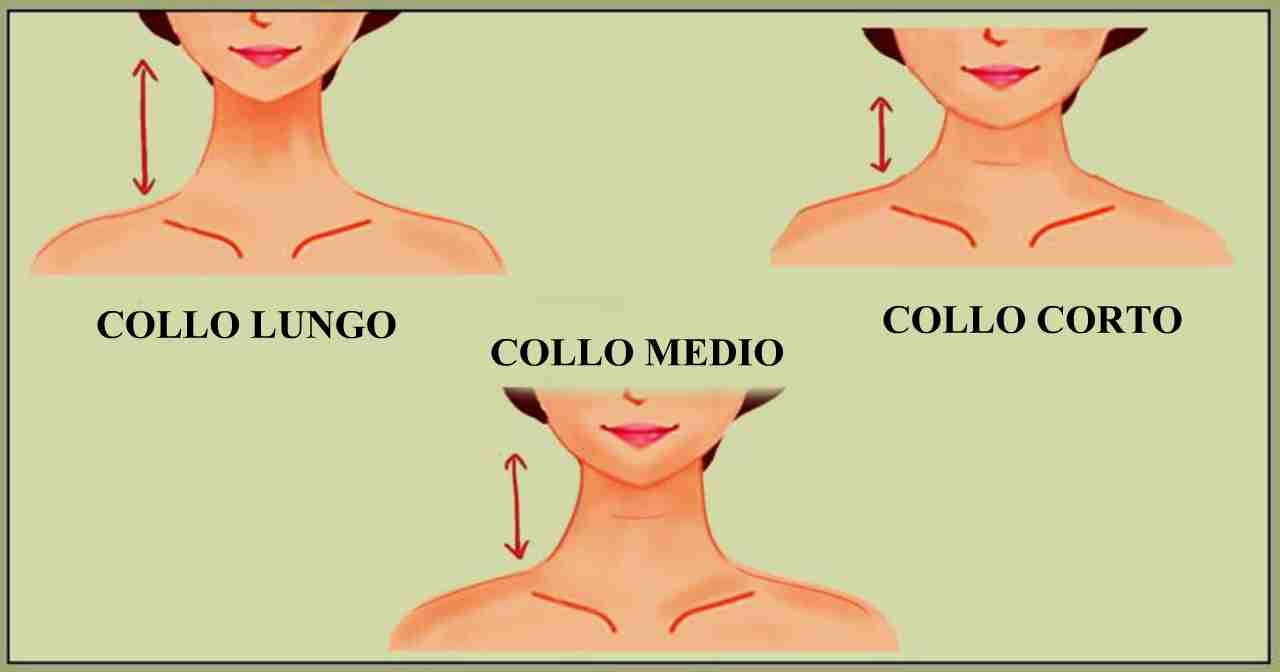 Qual è la lunghezza del tuo collo? Cosa rivela