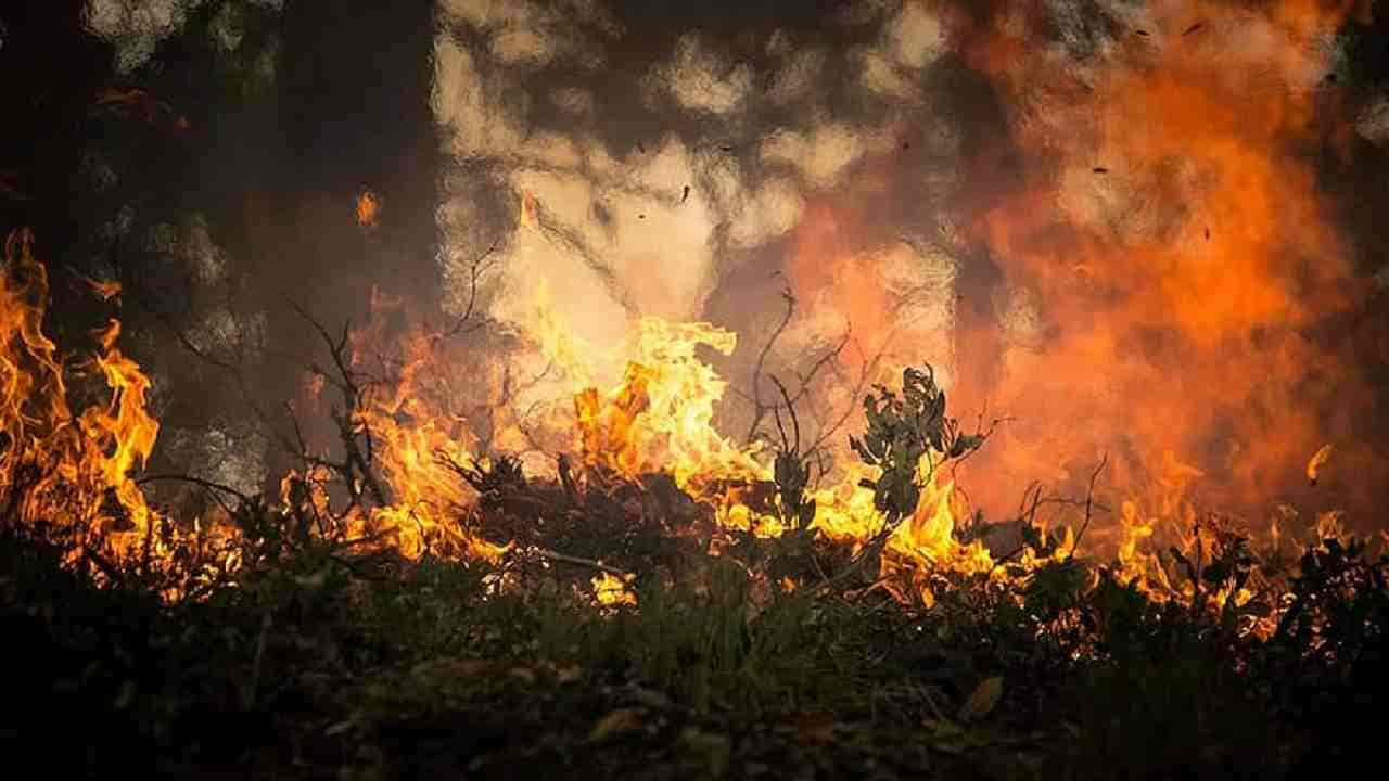 incendi a l'aquila