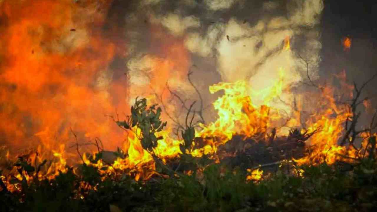 arrestati due volontari antincendio