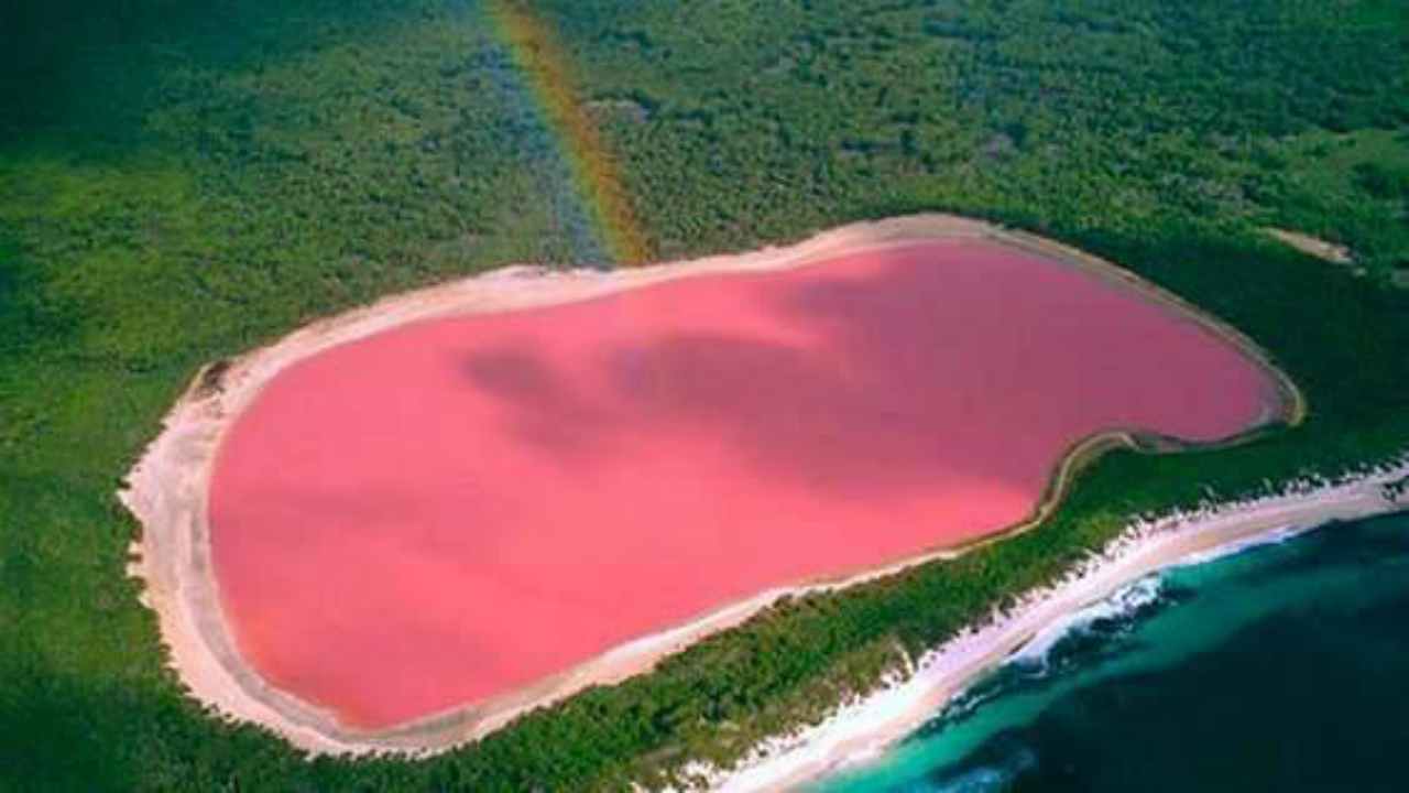 Lago rosa hillier