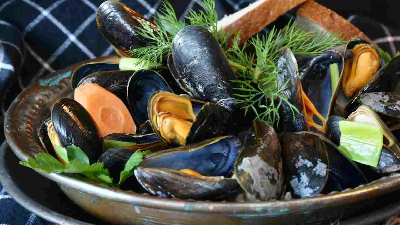 cozze contaminate escherichia coli