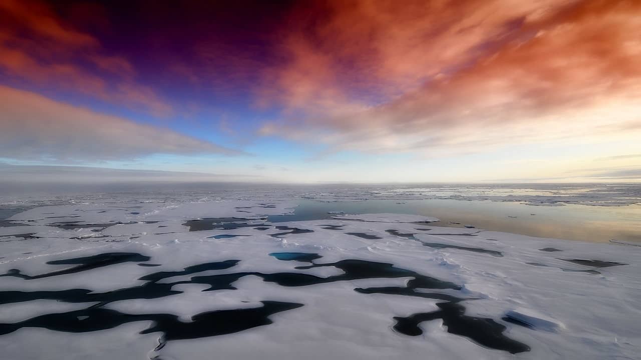 Inverno Artico blocchi di ghiaccio sul mare, alla deriva